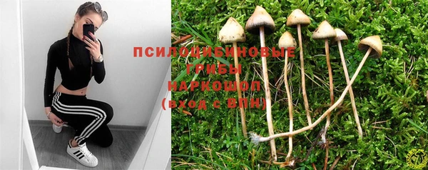 альфа пвп Бугульма