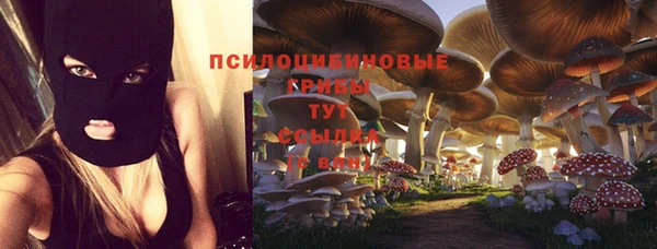 альфа пвп Бугульма