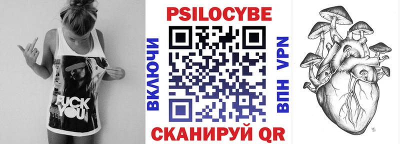 Купить  Пыть-Ях  Галлюциногенные грибы Psilocybe 